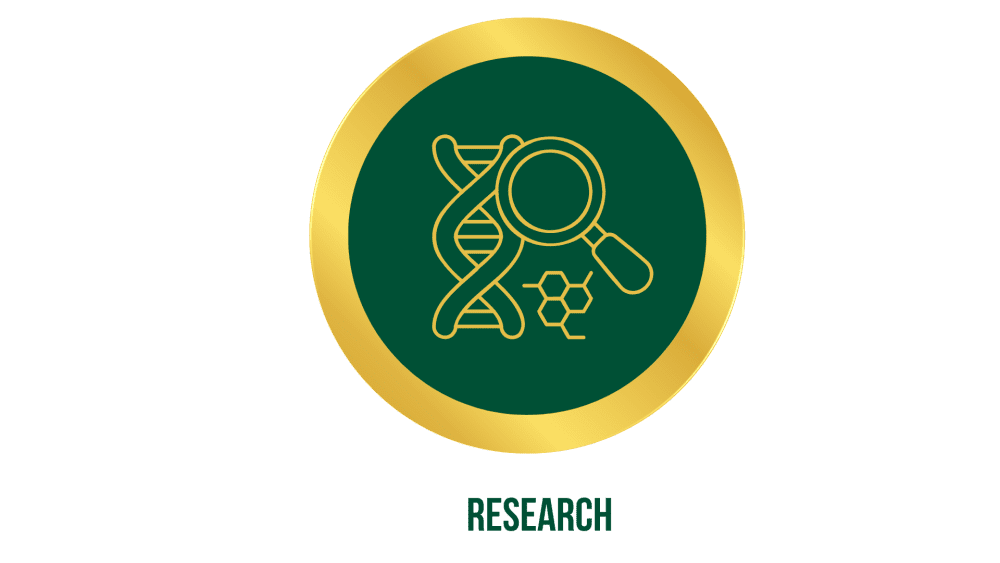 Research icon
